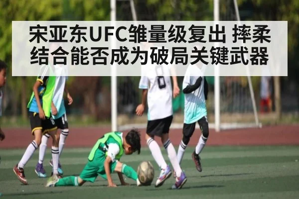 宋亚东UFC雏量级复出 摔柔结合能否成为破局关键武器